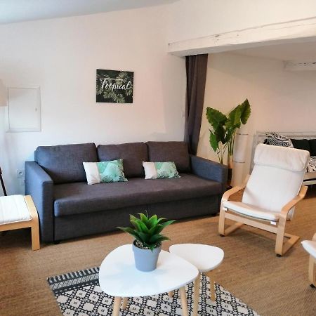 Loft Cosy - Centre Historique Climatise Apartment Ровел Екстериор снимка
