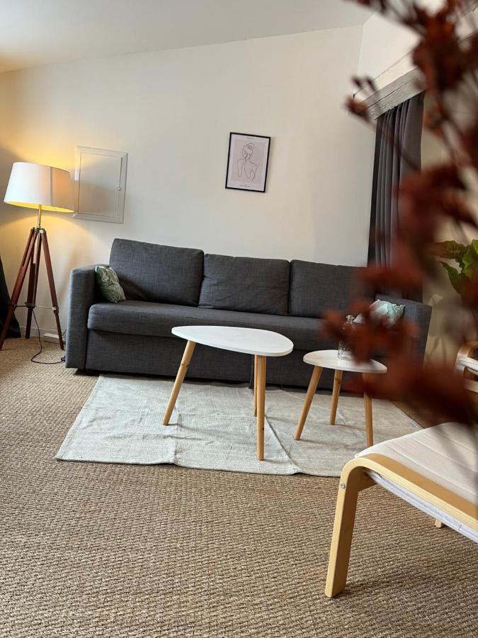 Loft Cosy - Centre Historique Climatise Apartment Ровел Екстериор снимка